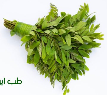برگ سنا برای یبوست