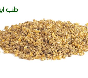ترنجبین