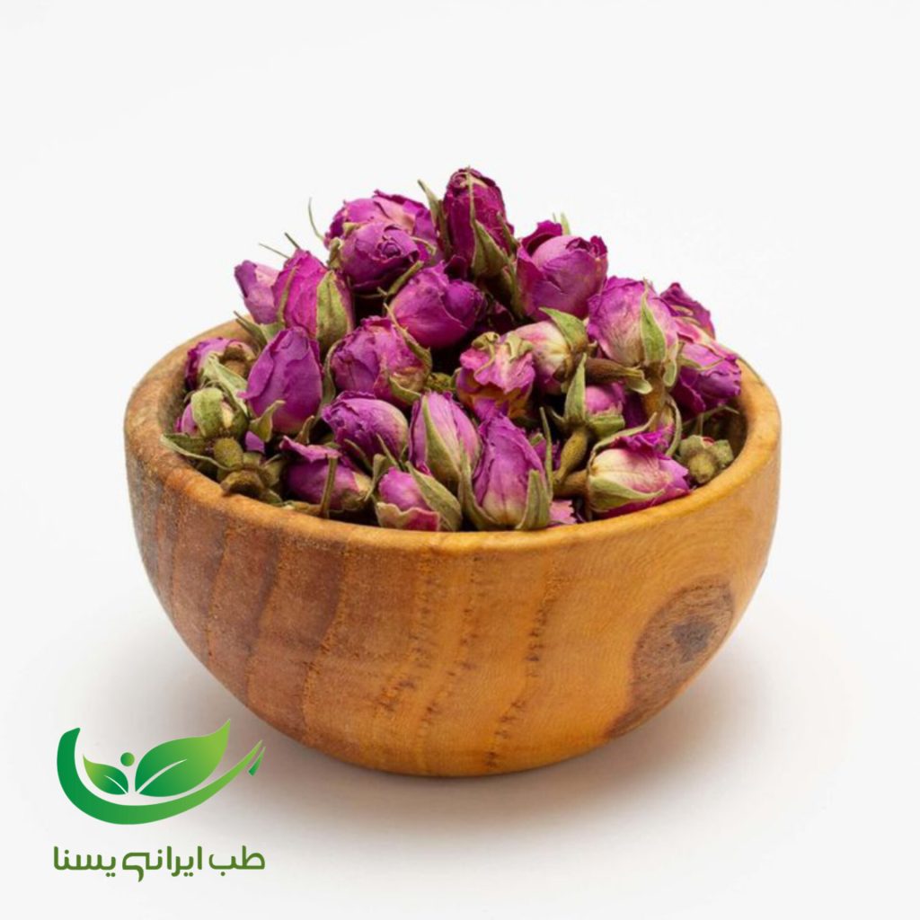 گل محمدی
