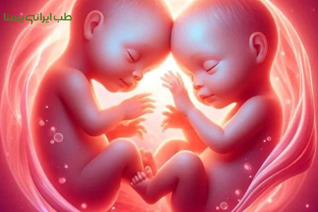 چندقلو زایی