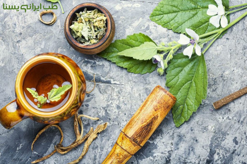 طب سنتی و ترک اعتیاد