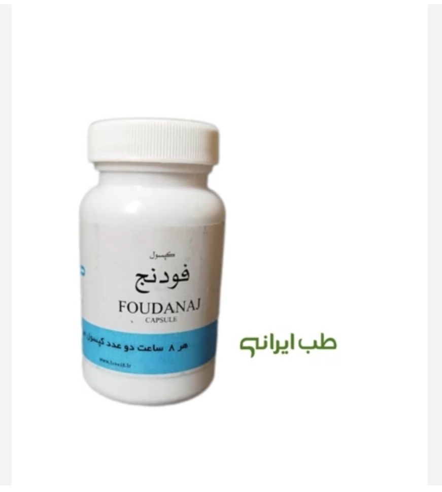 فودنج پودینه طوبی